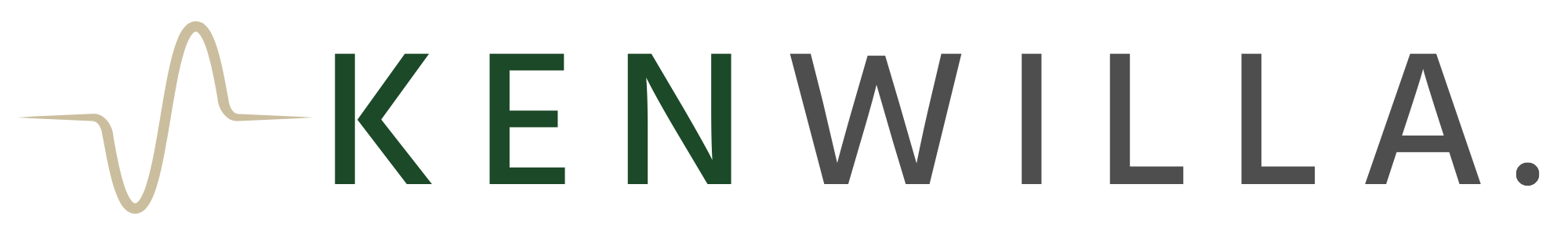 Ken Willa – Where Music Meets Meaning